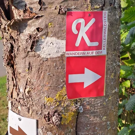 Schaefer Am Nationalpark Kellerwald