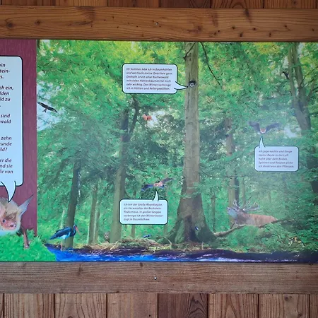 Schaefer Am Nationalpark Kellerwald *