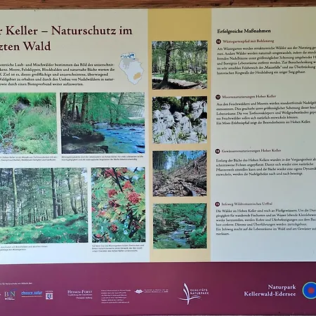 Daire Schaefer Am Nationalpark Kellerwald