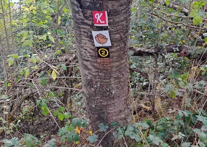 Apartment Schaefer Am Nationalpark Kellerwald