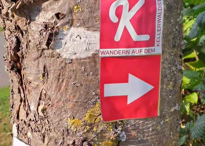 Schaefer Am Nationalpark Kellerwald