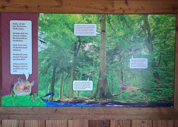 Schaefer Am Nationalpark Kellerwald *