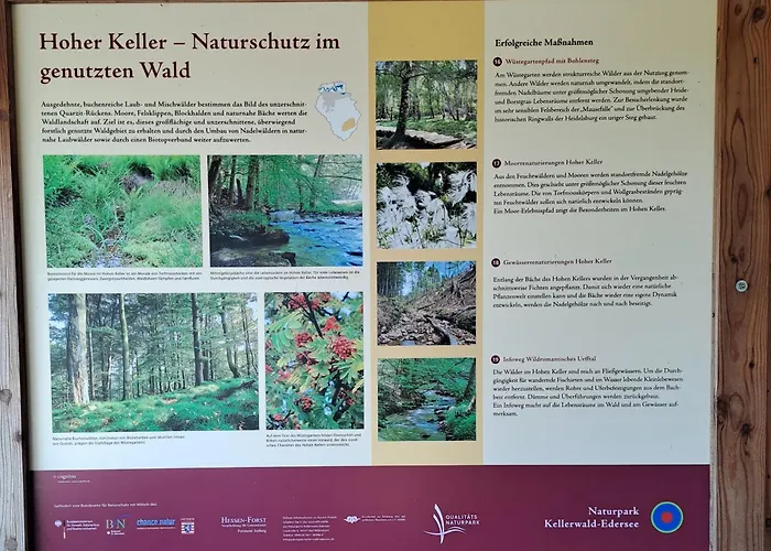 Apartment Schaefer Am Nationalpark Kellerwald